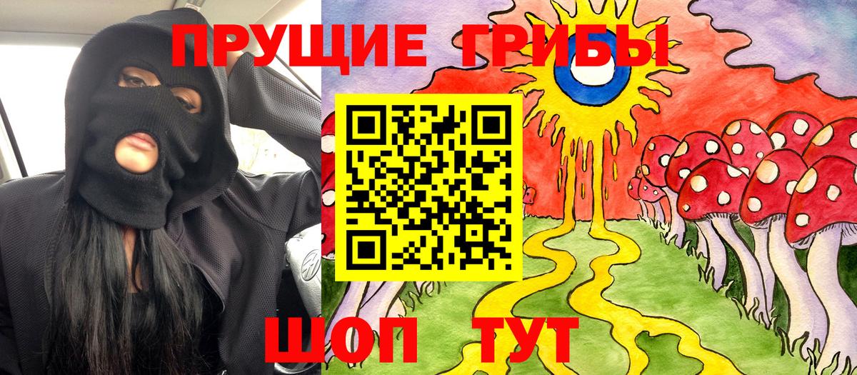 закладка  Псилоцибиновые грибы ЛСД  Вход с VPN  Арсеньев 